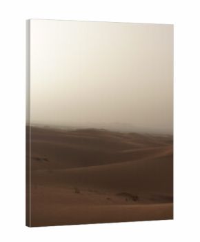 Orange sand dunes in Sahara desert