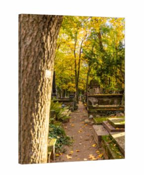 Stare Powązki, zabytkowy cmentarz w centrum Warszawy