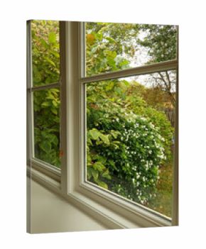 Window framing Lush green spring garden view with blooming white shrub, peaceful home living concept