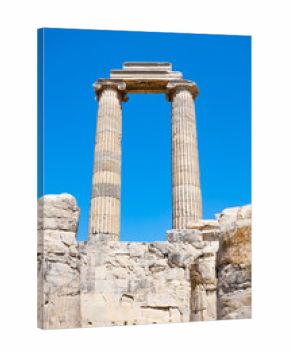 Temple of Apollo ruins at Didyma ancient sanctuary in Didim city in Turkey