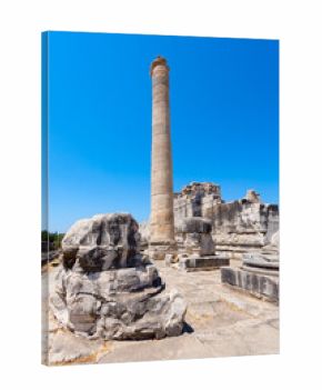 Temple of Apollo ruins at Didyma ancient sanctuary in Didim city in Turkey