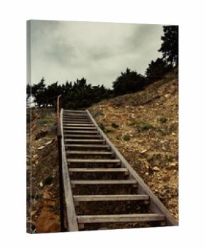 Wooden stairs on a hill vertical landscape