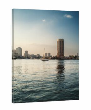 Belugas sailing on the Nile River