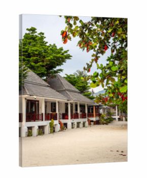 Beach bungalows for vacation at tropical coast in Koh Phangan, Thailand