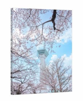 Beautiful Sakura Cherry Blossom in Spring season. Goryokaku Tower park in Hakodate city, Hokkaido prefecture, Japan. famous Landmark, Japan Travel and Vacation destination
