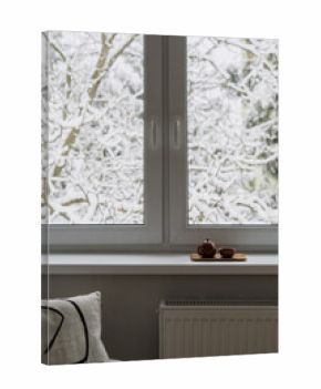 View of winter trees covered in snow from a modern window in a comfortable house
