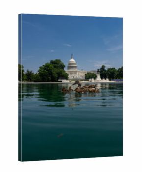 Washington DC skyline featuring the Capitol. Senate and House USA building. USA government seat in District of Columbia. The Capitol building. Capital of democracy.