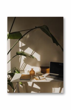 Creative workspace with laptop, notebooks and plant in natural light. Remote work or study concept