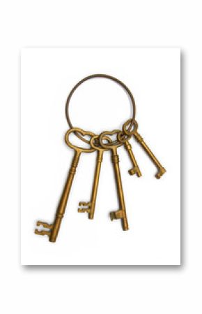 Key ring with skeleton keys made out of brass