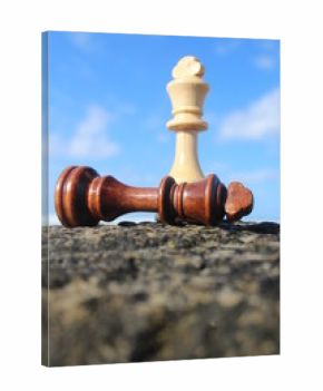 Chess mate, winning the game