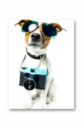 dog photo camera