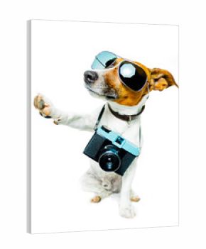 dog photo camera