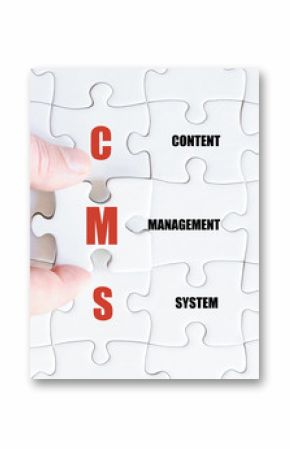 Last puzzle piece with Business Acronym CMS