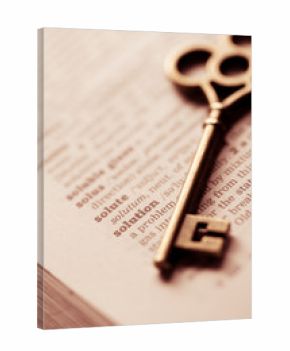 Business concept  key for solution