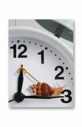 Snail pulling clock hand , slow time concept
