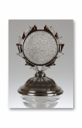 the silver cup - 5