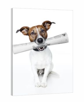 dog bringing newspaper