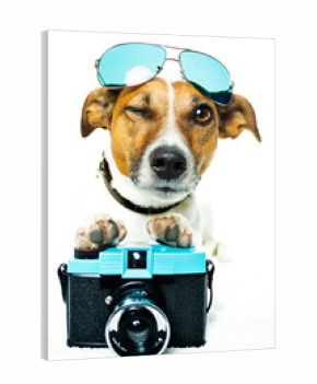 dog photo camera