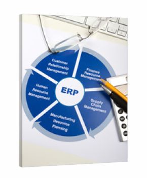 Geschäftsplanunung mit einem Warenwirtschaftssystem (ERP)