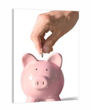 Hand Putting a Coin in Piggy Bank