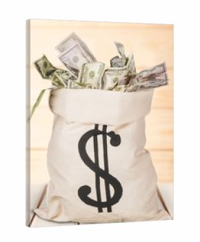 Dollar Bills in a full bag