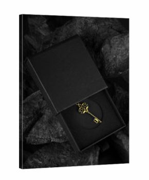 Antique Golden Key in an Open Black Box