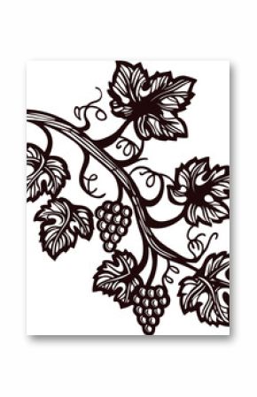 Vine branch with grapes and leaves in elegant black and white design.