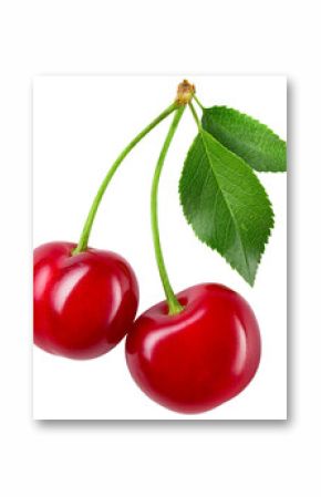 Cherry isolated png. Sour cherry with leaf on transparent background. Top view two cherries on branch with leaves no background. Png cherry. Full depth of field.