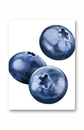 Flying blueberry isolated on white background