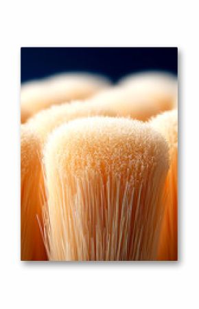 Macro Detail of Dense Bristles on Dry Paintbrush