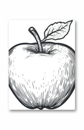 Black and white hand drawn sketch of an apple with a leaf and stem, detailed illustration