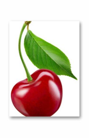 Cherry isolated png. Sour cherry with leaf on white or transparent background. Perfect retouched cherry on branch with leaf no background png. Full depth of field.