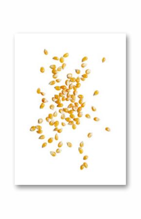 scattered of corn kernel on white