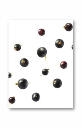 Fresh Ripe Black Currant berries falling in the air isolated on white background