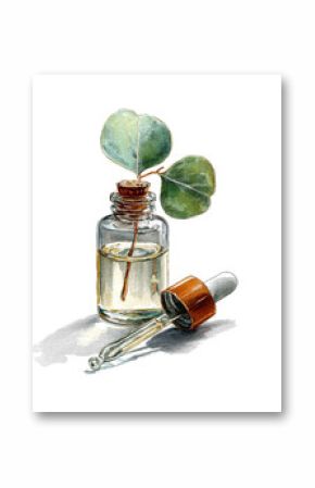 eucalyptus plant in bottle with pipette beauty product watercolor illustration on white