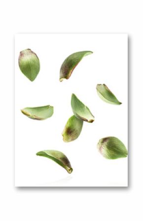 Fresh raw Artichoke falling in the air isolated on white background. High resolution image
