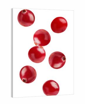 close-up photograph of seven ripe, glossy red cranberries captured in mid-air and isolated against a deep transparent background, showing fine detail.