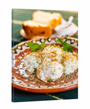 Thracian salad with cucumber and Bulgarian yogurt, Manastirska Magernitsa, traditional Bulgarian restaurant, Sofia, Republic of Bulgaria, Europe