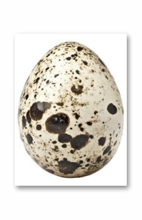 PNG Quail egg background quail white.