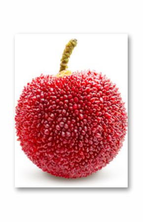 Red Yangmei or Arbutus berries fruit isolated on white, Red Bayberry, Yumberry, Yamamomo, Waxberry on white with work path.