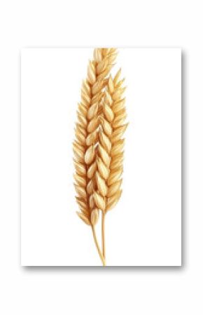 Isolated Wheat Ear Illustration, Golden Grain, Realistic Design Element