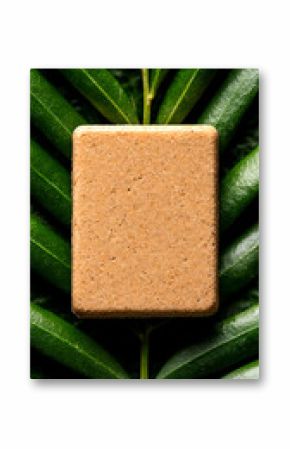Light Brown Rectangular Bar Soap on Lush Green Palm Leaves