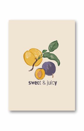 Vector fruit poster of peach and plum. Hand-drawn garden harvest sketch. Tasty food illustration for restaurant and cafe interior, fruit market drawing print, fabric or background.