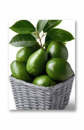 Fresh green avocados arranged in a wicker basket surrounded by leaves, highlighting their natural freshness and healthy appeal