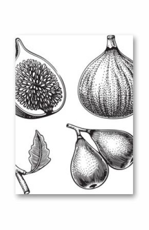 Black and white of a halved fig and two whole figs with a leaf.