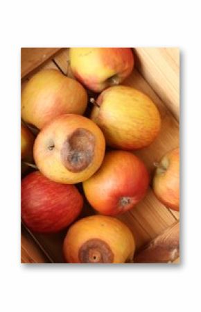 Damaged and rotten apples in wooden crate, closeup