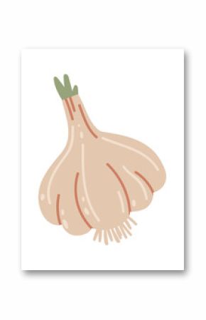 Hand drawn illustration of a whole garlic bulb with roots and a green sprout growing from the top, isolated on a white background, representing healthy eating, cooking, and natural remedies