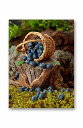 Small wicker basket filled with ripe blueberries.