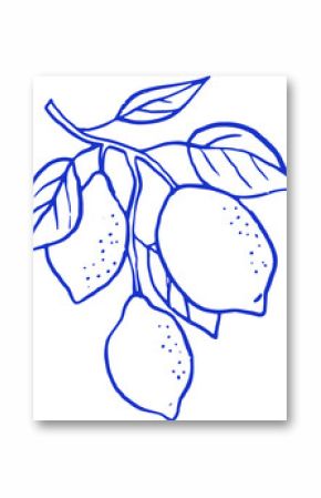Lemon tree branch vintage linear illustration