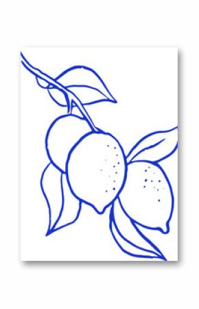 Lemon tree branch vintage linear illustration